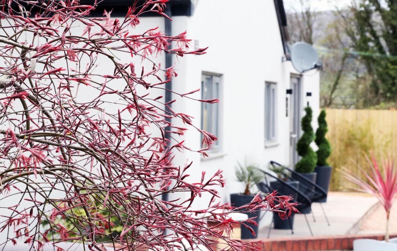 Pen-Y-Worlod Cottages Abergavenny Buitenkant foto